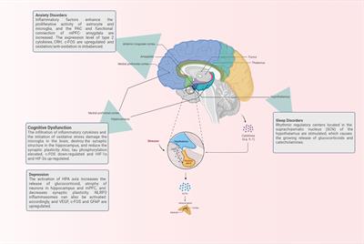 Brain response in asthma: the role of “lung-brain” axis mediated by neuroimmune crosstalk